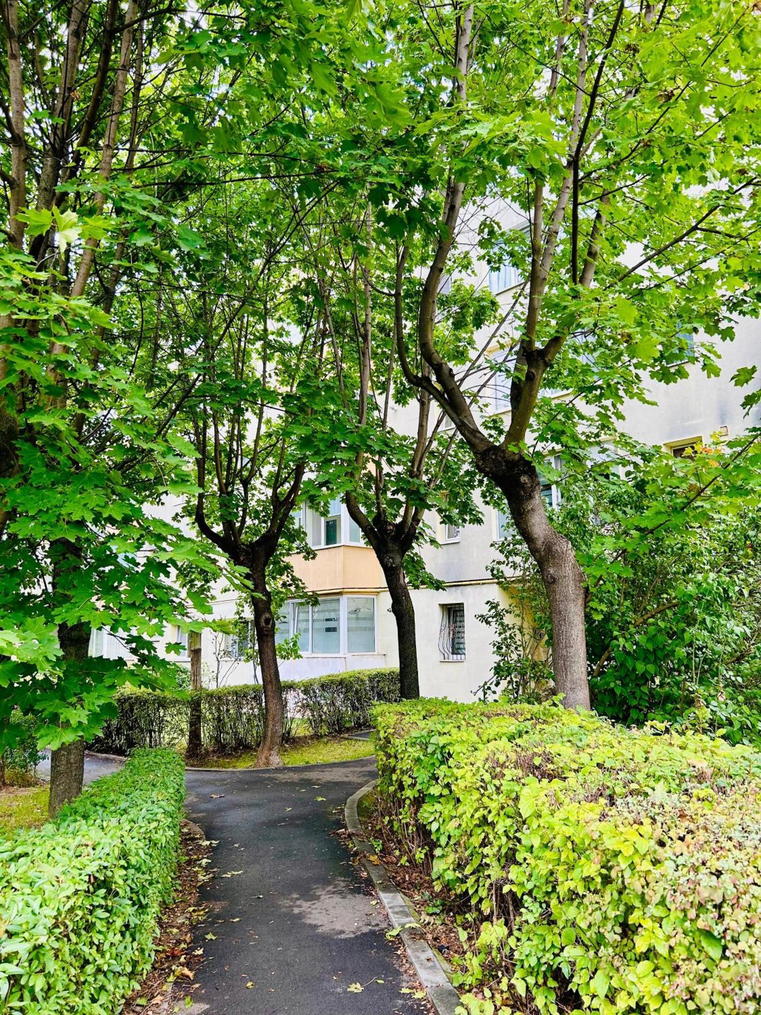 Apartament Chic Escape One - Free Parking Braszów Zewnętrze zdjęcie
